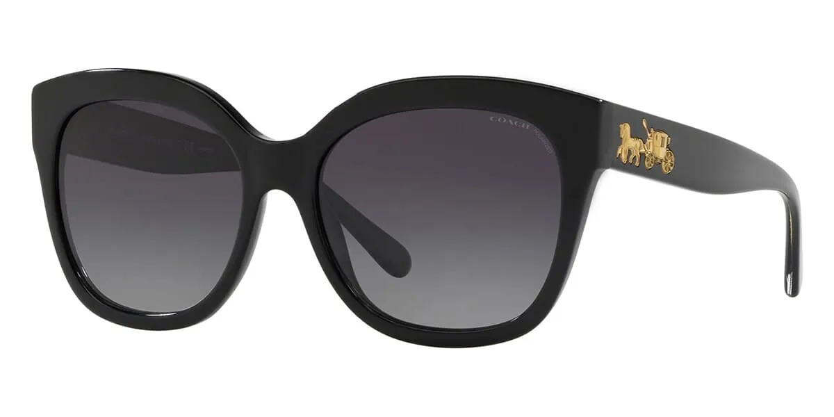 Coach L1083 HC8264 5002/T3 Polarised