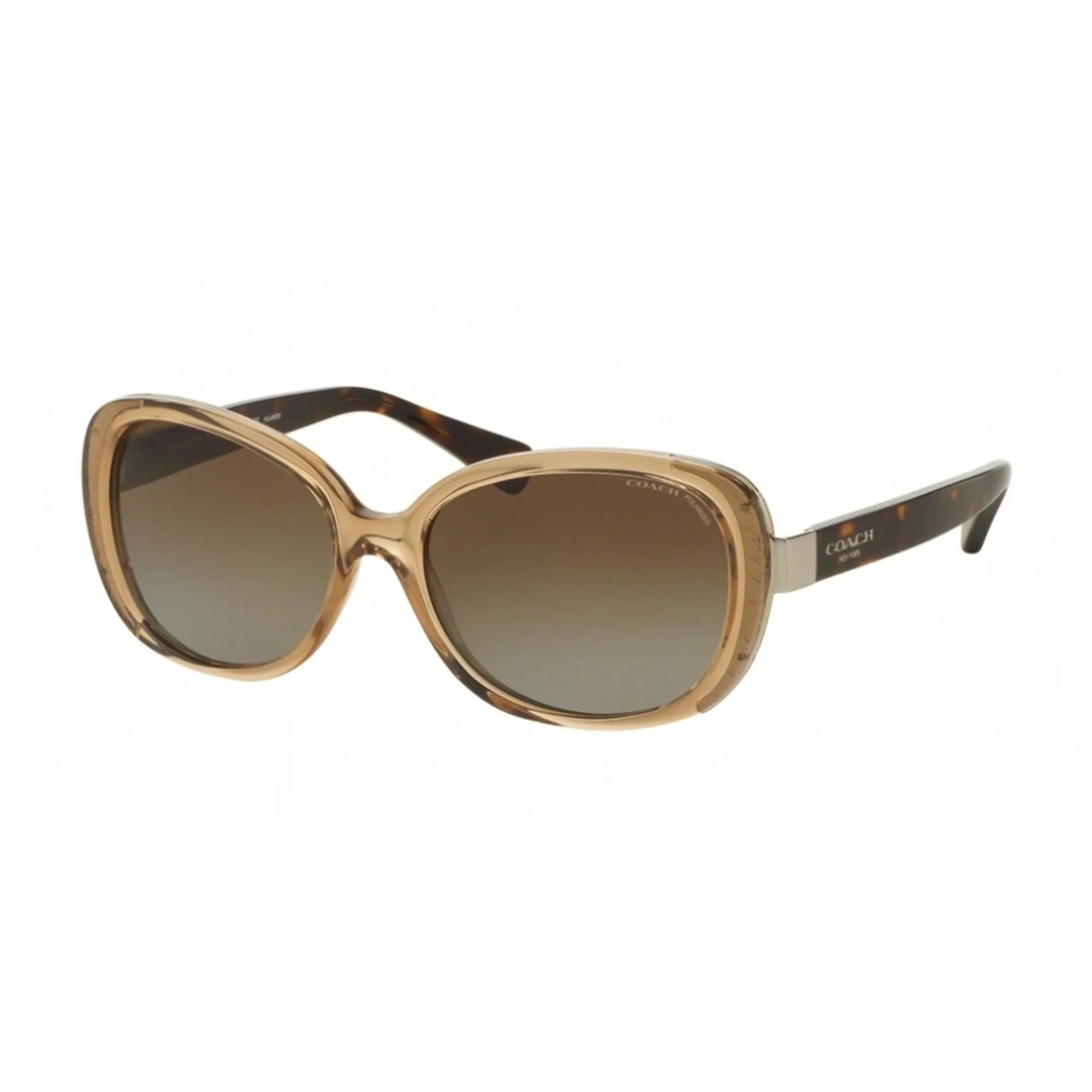 Coach Women's Sunglasses - Full Rim Butterfly Shape Plastic Frame | 0HC8172 5369T556