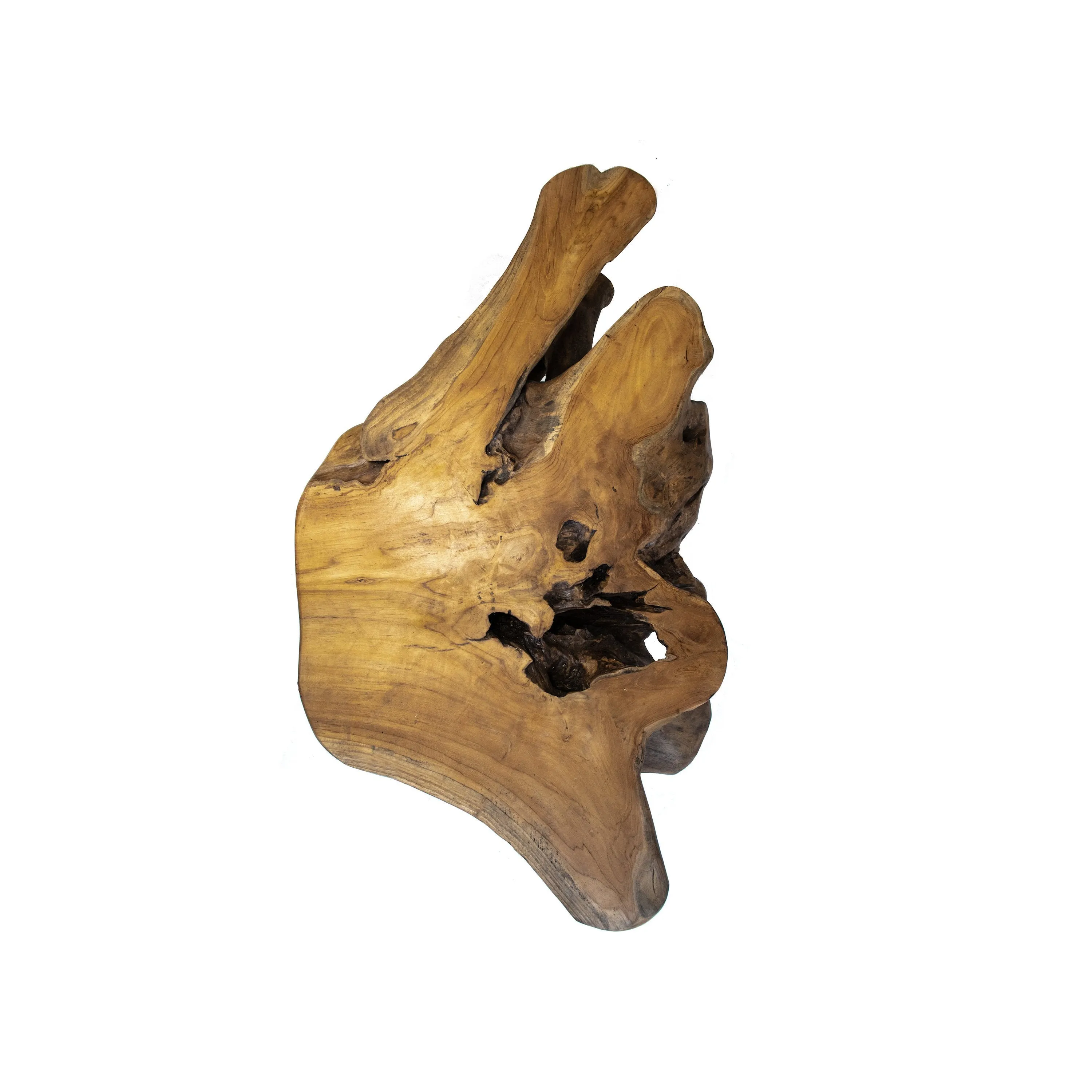 Live Edge Teak Root Wood Coffee Table | Rustic Primitive Table