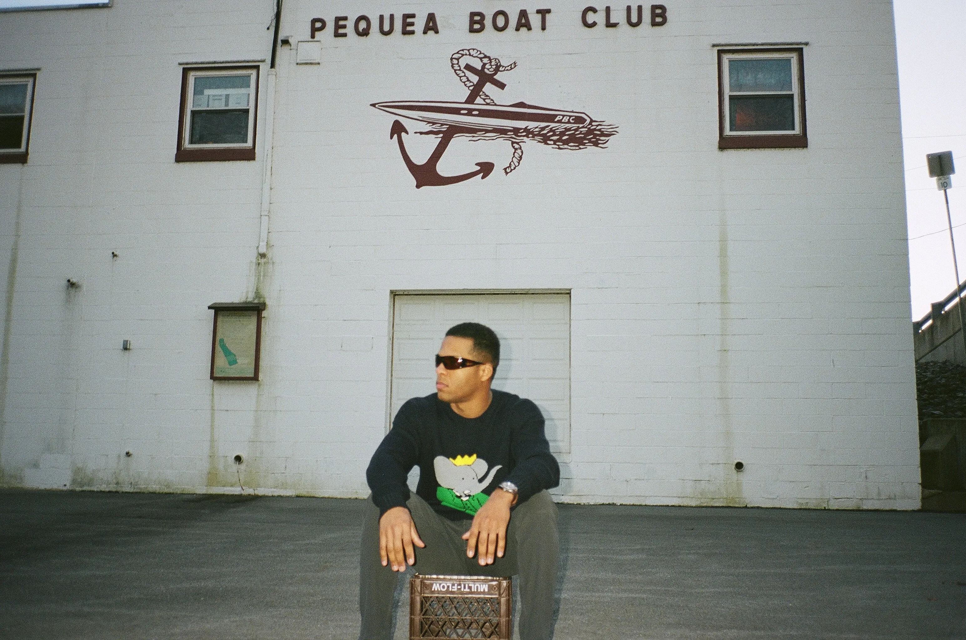 Viper Polarized in Black