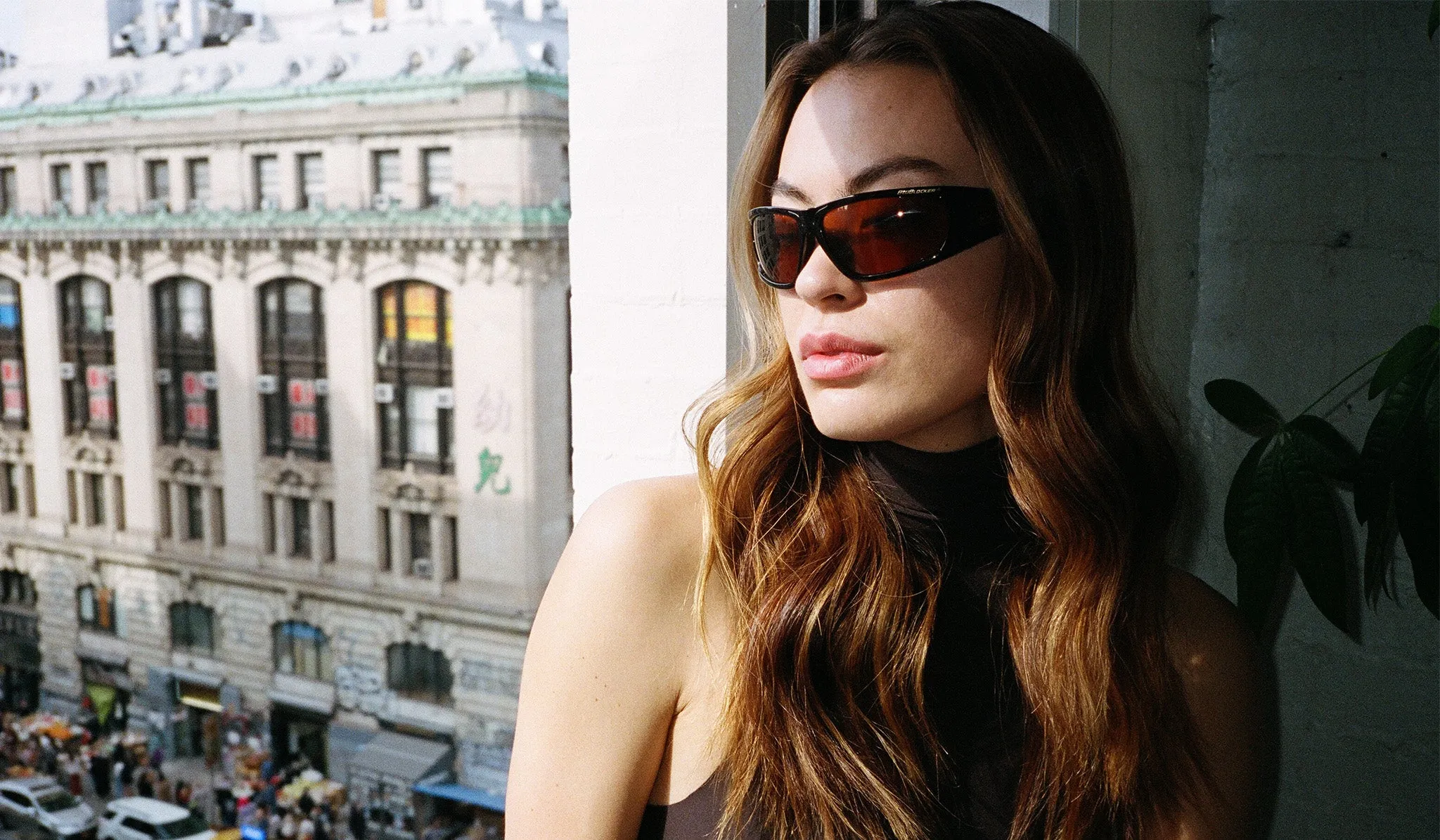 Viper Polarized in Black